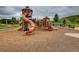 Community playground with slides and climbing structures at 5290 Silver Hare Ct, Castle Rock, CO 80104