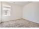 Bright bedroom with plush carpet, a large window for natural light, and neutral-toned walls at 11008 Snowdon St, Parker, CO 80134