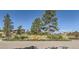 Stone entrance to the Colorado Golf Club with mature trees and landscaping at 11008 Snowdon St, Parker, CO 80134