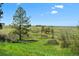 Spacious green backyard with landscaping, benches, and a home in the distance at 7645 Fox Creek Trl, Franktown, CO 80116