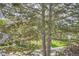 Street view through mature pine trees with green lawns and sidewalks at 180 S Nome St, Aurora, CO 80012