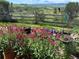 Garden area with wooden fence and abundant flowers and plants at 8611 Coachlight Way, Littleton, CO 80125