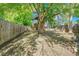 Private backyard featuring mature trees, a wood fence, and a deck, perfect for outdoor relaxation and entertaining at 8032 Lee Ct, Arvada, CO 80005