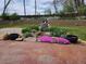 Landscaped backyard featuring a colorful flower bed, dwarf statues, and garden pottery at 9025 Jellison Ct, Broomfield, CO 80021