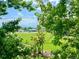 Backyard area with an open grass field, framed by lush greenery and trees in a peaceful neighborhood at 7245 S Dexter St, Centennial, CO 80122