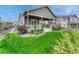 Well-manicured backyard featuring a covered patio, beautiful landscaping, and a verdant lawn for outdoor enjoyment at 2932 Eagle Wing Way, Castle Rock, CO 80109