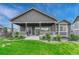 Back of home with a covered patio, a well-kept lawn, and tasteful landscaping at 2932 Eagle Wing Way, Castle Rock, CO 80109