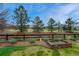 Landscaped backyard featuring a wood fence, mature trees and garden area, creating a private outdoor space at 3434 Fantasy Pl, Castle Rock, CO 80109