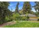 Lush backyard with mature trees providing shade and privacy, complementing the charming yellow home at 403 Anderson St, Castle Rock, CO 80104