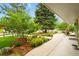 Inviting front porch with lush landscaping and mature trees overlooking the street at 403 Anderson St, Castle Rock, CO 80104