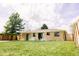Expansive backyard with lush lawn, mature tree, patio seating, and well-maintained landscaping at 3890 Moore St, Wheat Ridge, CO 80033