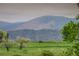 Enjoy lush green fields and beautiful mountain views from this lovely homesite at 11904 W Auburn Dr, Denver, CO 80228