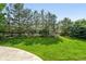 Spacious lawn with privacy fence and mature trees at 11985 Singing Winds St, Parker, CO 80138
