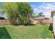 View of a spacious backyard featuring a lawn, wooden fence, and mature tree offering shade at 7736 Vallejo St, Denver, CO 80221