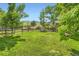 Expansive backyard with lush green lawn, mature trees, and split rail fence at 5 Cliffrose, Littleton, CO 80127
