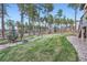 View of a verdant backyard complemented by lush trees and rock features at 1766 Summerglow Ln, Monument, CO 80132