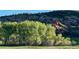 Landscape showing rocks, trees and meadows at 8244 S Queen St, Littleton, CO 80127