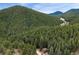 Breathtaking aerial view of a home surrounded by a dense forest against a mountain backdrop at 17422 N Canyon Rd, Littleton, CO 80127