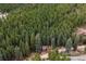 Aerial view of a charming house nestled in a lush forest of evergreen trees at 17422 N Canyon Rd, Littleton, CO 80127