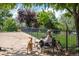 Serene dog park setting with dogs, a bench, and trees at 1642 N Lafayette St # 2, Denver, CO 80218