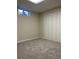 Finished basement room with grey carpet and closet at 3062 S Florence Ct, Denver, CO 80231