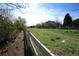Fenced backyard space featuring a grassy area with an adjacent walkway and lush greenery and blue sky at 448 Winterthur Cir, Highlands Ranch, CO 80129