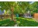 Spacious backyard featuring a trampoline and privacy fence, perfect for outdoor activities at 12565 Eudora St, Thornton, CO 80241