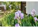 Beautiful garden featuring vibrant purple flowers and lush greenery, adding natural charm at 2675 S Eudora St, Denver, CO 80222