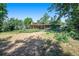 Spacious backyard of a single story home with large grassy area at 6780 Allison St, Arvada, CO 80004