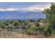 Rolling landscape with distant mountain views and mature trees at 6780 Allison St, Arvada, CO 80004