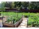 Lush garden with a variety of plants, flowers, and stone pathway for peaceful enjoyment at 11899 Elizabeth Cir, Thornton, CO 80233