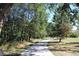 Scenic tree-lined walking path perfect for a leisurely stroll, surrounded by lush greenery and natural beauty at 11899 Elizabeth Cir, Thornton, CO 80233