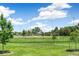 A baseball field is surrounded by lush green grass and trees on a bright, sunny day at 1250 S Monaco Pkwy # 67, Denver, CO 80224