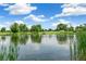 Beautiful pond with serene water, green trees, clear blue sky, and fluffy clouds at 1250 S Monaco Pkwy # 67, Denver, CO 80224