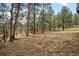 A vast backyard featuring mature trees and wooden fence, offers privacy and a serene setting at 1423 Belford Ct, Evergreen, CO 80439