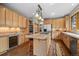Well-lit kitchen features wooden cabinets, granite countertops, large island and stainless steel appliances at 1423 Belford Ct, Evergreen, CO 80439