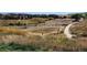 View of the community dog park complete with shade and fenced areas for recreation at 3747 Windriver Trl, Castle Rock, CO 80109