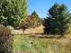 Enjoy lush greenery and shade trees in this serene outdoor space, perfect for relaxation and leisure at 3747 Windriver Trl, Castle Rock, CO 80109