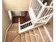 Carpeted staircase has white trim and leads to the home's entry at 3747 Windriver Trl, Castle Rock, CO 80109