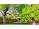 Lush backyard featuring mature trees, a well-maintained lawn, brick home exterior and inviting outdoor area for relaxation at 1669 S Kearney St, Denver, CO 80224