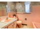 Retro bathroom featuring pink tiles, a vintage sink, and a decorative mirror and light fixture at 1669 S Kearney St, Denver, CO 80224
