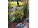 Lovely flower garden with vibrant yellow flowers and decorative rock landscaping at 3080 Madison Ln, Broomfield, CO 80023