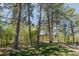 Expansive backyard with mature trees and a charming playset, perfect for outdoor enjoyment and Gathering activities at 2045 Pine Wood Rd, Sedalia, CO 80135