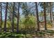 Backyard with mature trees and a charming wooden playset, creating a fun and inviting space for outdoor activities at 2045 Pine Wood Rd, Sedalia, CO 80135