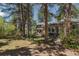 Secluded backyard of stone home with tall mature evergreens and ample room for recreation at 2045 Pine Wood Rd, Sedalia, CO 80135