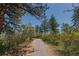 Scenic walking path lined with mature trees and vibrant greenery, offering a tranquil and inviting outdoor experience at 2045 Pine Wood Rd, Sedalia, CO 80135