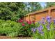 Beautifully landscaped garden featuring colorful flowers and lush greenery against a wooden fence backdrop at 6839 S Niagara Ct, Centennial, CO 80112