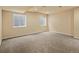 A spacious basement features neutral carpet and window egress at 10730 Hillrose St, Parker, CO 80134