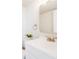 Modern bathroom with white vanity, gold faucet, neutral walls, and decorative plant on the toilet at 717 Walden Ct, Highlands Ranch, CO 80126