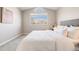 Cozy bedroom with large window offering plenty of natural light at 717 Walden Ct, Highlands Ranch, CO 80126